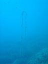 DSC00110.JPG