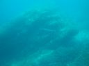 DSC00020.JPG