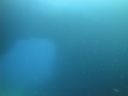 DSC00082.JPG
