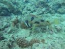 DSC00110.JPG