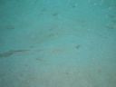 DSC00215.JPG