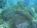 DSC00223.JPG