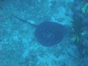 DSC00441.JPG