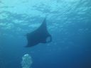 DSC00473.JPG