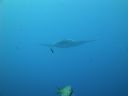 DSC00474.JPG