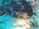 DSC00048.JPG