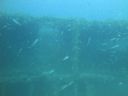 DSC00095.JPG