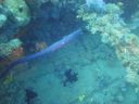 DSC00138.JPG