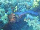 DSC00139.JPG