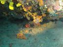 DSC00189.JPG