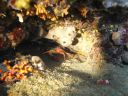 DSC00198.JPG