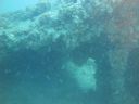 DSC00232.JPG