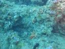 DSC00248.JPG