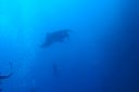 DSC00069.JPG