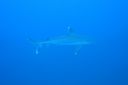 DSC00118.JPG