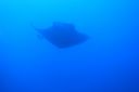 DSC00145.JPG