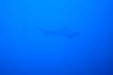 DSC00156.JPG