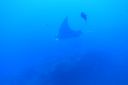 DSC00172.JPG