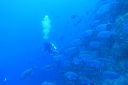 DSC00270.JPG