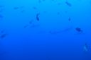 DSC00281.JPG