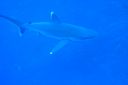 DSC00288.JPG