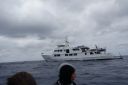 DSC00290.JPG