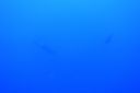 DSC00314.JPG