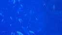 DSC00316.JPG