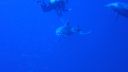 DSC00318.JPG