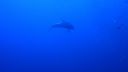 DSC00320.JPG