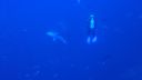 DSC00324.JPG
