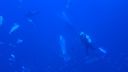 DSC00326.JPG