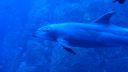 DSC00335.JPG