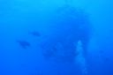 DSC00343.JPG