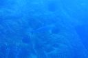 DSC00351.JPG