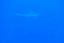 DSC00356.JPG