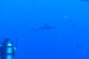 DSC00357.JPG