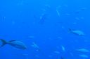 DSC00359.JPG