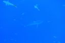 DSC00369.JPG