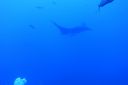 DSC00385.JPG