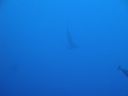 DSC00062.JPG