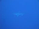 DSC00065.JPG