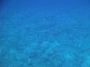 DSC00076.JPG