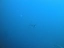 DSC00184.JPG