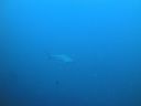 DSC00193.JPG