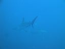 DSC00210.JPG