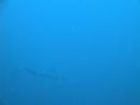 DSC00222.JPG