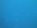 DSC00362.JPG