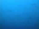 DSC00409.JPG