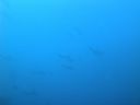 DSC00413.JPG